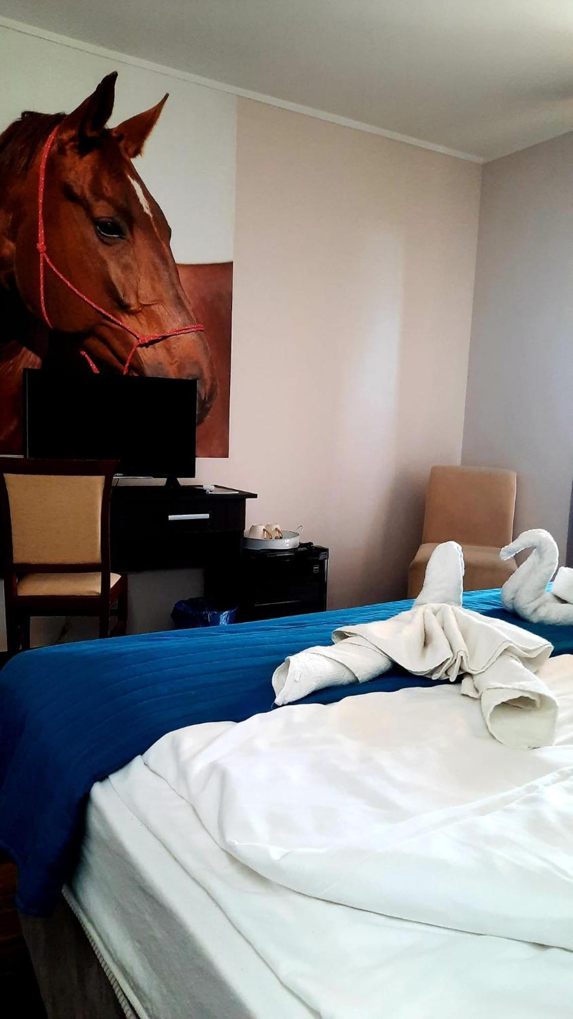 Caballus Lovasmajor Panzio Ньиредьхаза Экстерьер фото